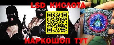 стаф Новокубанск