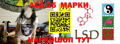 spice Новодвинск