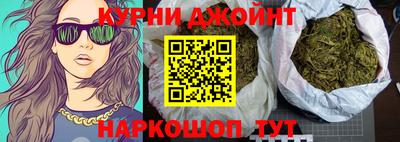 стаф Новокубанск