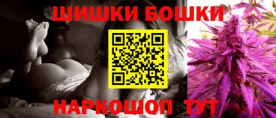 стаф Новокубанск