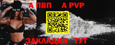 spice Новодвинск